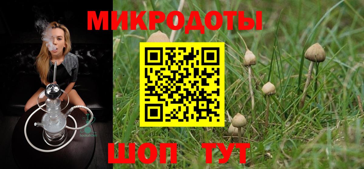 Кирово-Чепецк  Галлюциногенные грибы MAGIC MUSHROOMS  Вход с VPN 