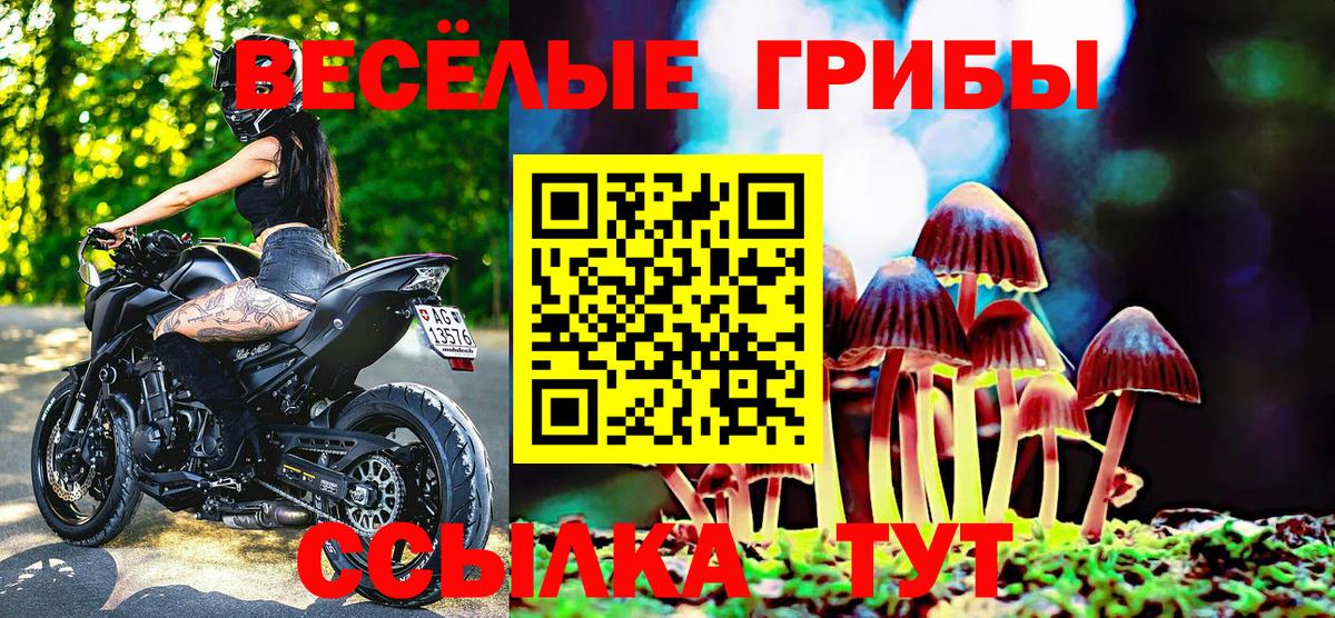 Галлюциногенные грибы прущие грибы Кирово-Чепецк